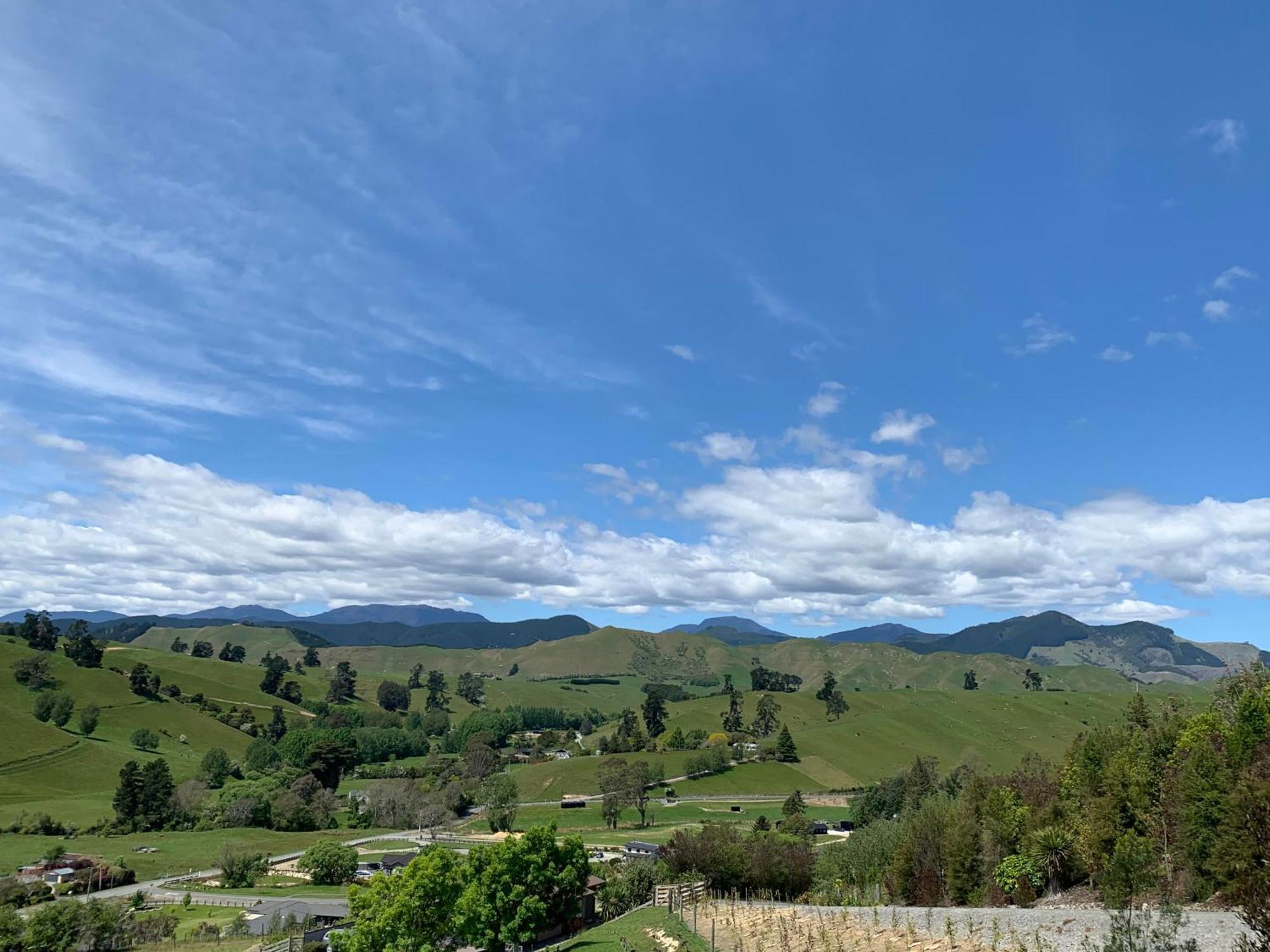 Wake Field Views Bed & Breakfast Нелсън Екстериор снимка